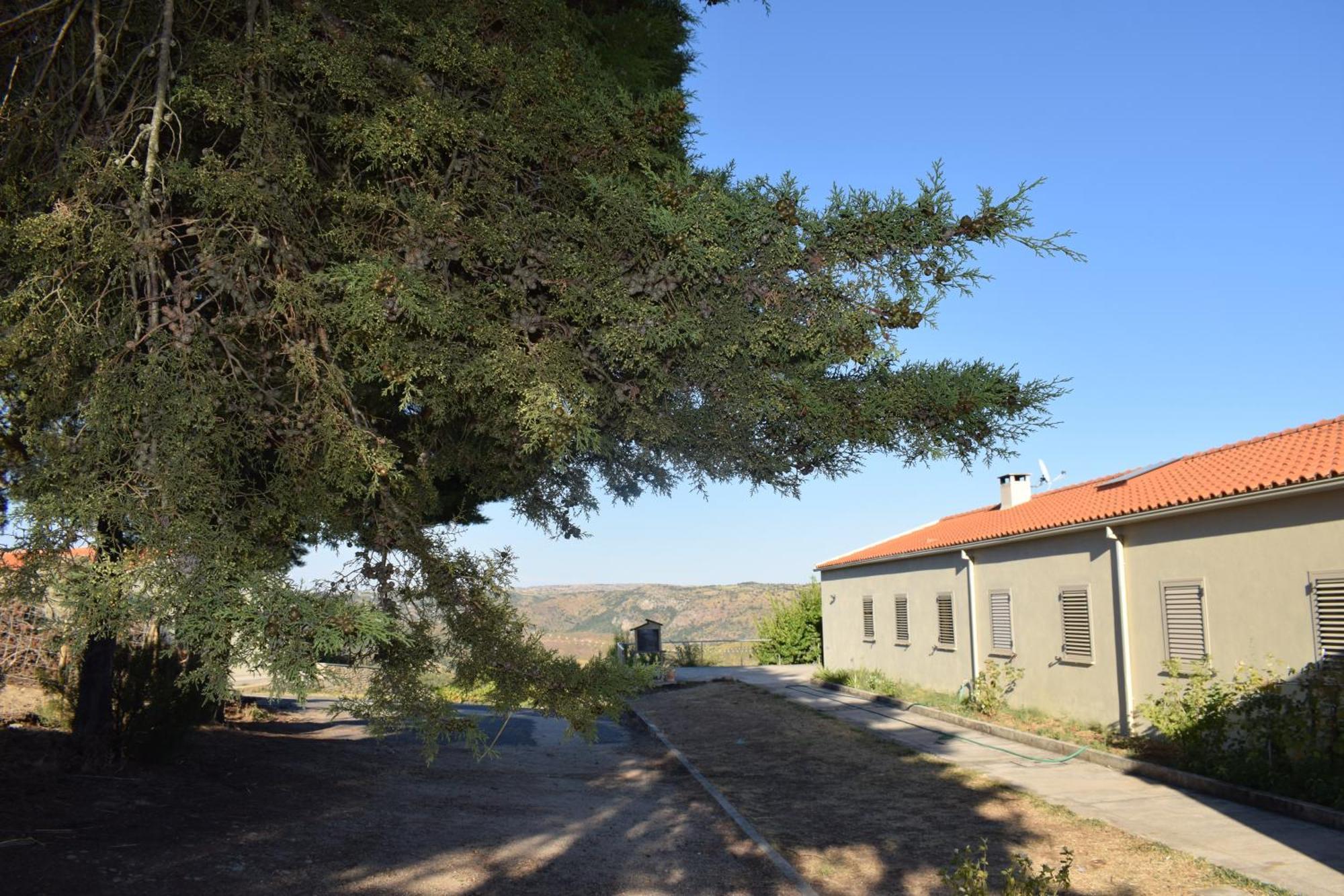 Douro Natura Bemposta  Екстер'єр фото