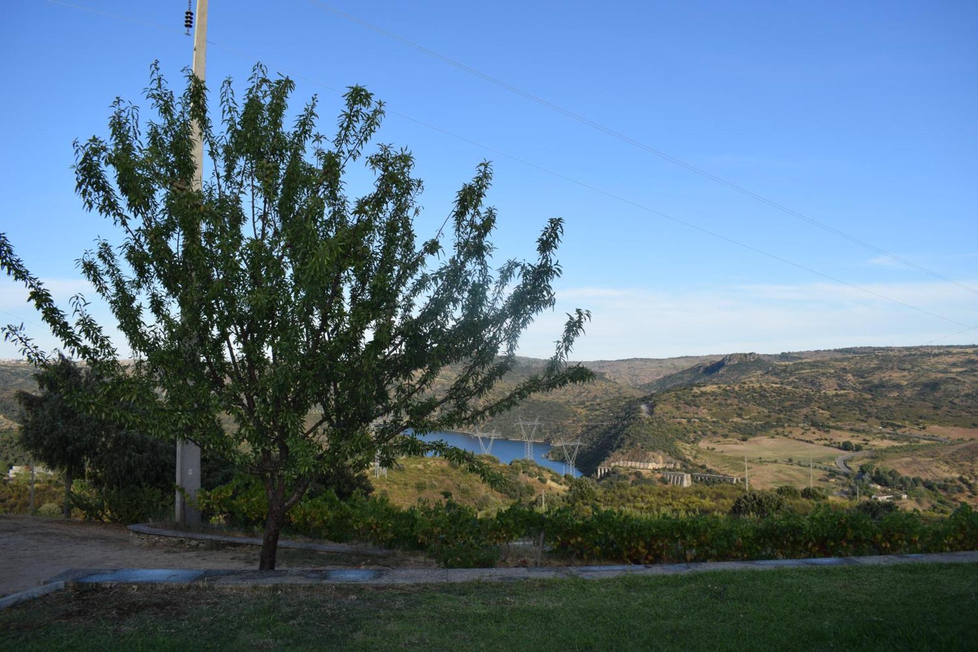 Douro Natura Bemposta  Екстер'єр фото
